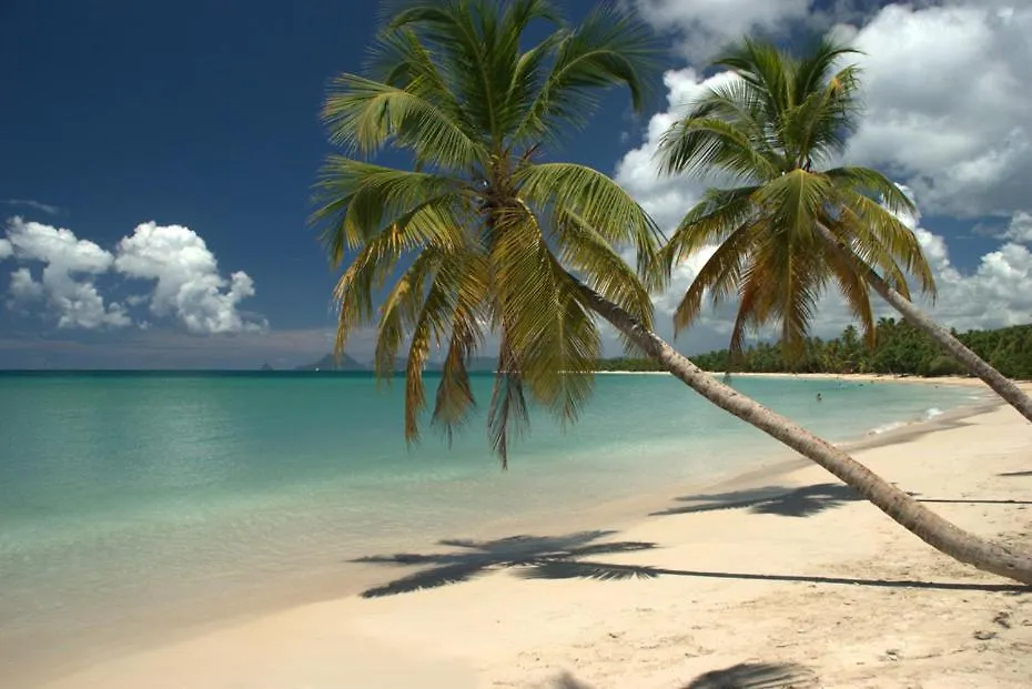 Résidence Ti'Kéol - Appartements avec terrasse 2 à 4 personnes, piscine Sainte-Anne Martinique